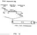 Fig. 02 - Identification of genes