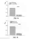 Fig. 07 - Micelle delivery system loaded with a pharmaceutical agent