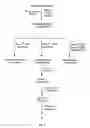 Fig. 05 - Insecticidal extract from legume plants and method of preparing the same