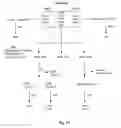 Fig. 16 - Insecticidal extract from legume plants and method of preparing the same