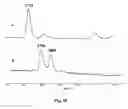 Fig. 17 - Insecticidal extract from legume plants and method of preparing the same