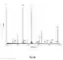 Fig. 23 - Insecticidal extract from legume plants and method of preparing the same
