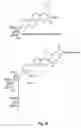 Fig. 30 - Insecticidal extract from legume plants and method of preparing the same