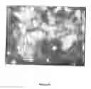 Fig. 06 - Yogurt with a two-phase structure and method for production thereof