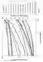 Fig. 07 - STARCH