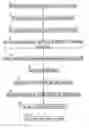 Fig. 01 - Bio-sheet material and its manufacturing method and apparatus