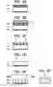 Fig. 03 - Mold and process of production thereof