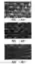 Fig. 04 - Process for face finishing fabrics and fabrics having good strength and aesthetic characteristics