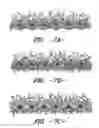 Fig. 07 - Process for face finishing fabrics and fabrics having good strength and aesthetic characteristics