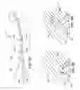 Fig. 06 - Molding touch fastener elements