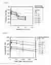 Fig. 06 - Honeycomb structure and seal material