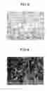 Fig. 03 - Tin-plated product and method for producing same