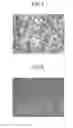 Fig. 04 - Tin-plated product and method for producing same