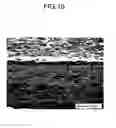 Fig. 07 - Tin-plated product and method for producing same