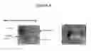 Fig. 06 - Manufacture of FRP composites
