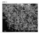 Fig. 02 - Composite material