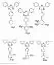Fig. 01 - Electrolyte composition, solid electrolyte membrane, solid polymer fuel cell and manufacturing method for solid electrolyte membrane