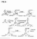 Fig. 06 - Electrolyte composition, solid electrolyte membrane, solid polymer fuel cell and manufacturing method for solid electrolyte membrane