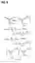Fig. 07 - Electrolyte composition, solid electrolyte membrane, solid polymer fuel cell and manufacturing method for solid electrolyte membrane