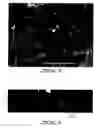 Fig. 08 - Macroscopic assembly of nanometric filamentary structures and method of preparation thereof