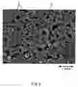 Fig. 04 - Non-aqueous electrolyte battery and method for producing the same