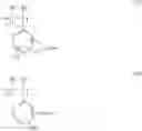 Fig. 02 - Positive resist composition and pattern forming method using the same