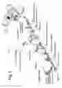Fig. 04 - Safe incineration of explosive air mixtures
