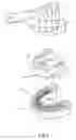 Fig. 06 - Dental modeling and articulating system and method