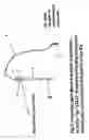 Fig. 06 - Apparatus and method for performing a dental procedure