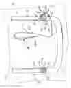 Fig. 10 - Apparatus and method for performing a dental procedure