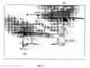 Fig. 06 - Flight simulator