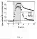 Fig. 19 - Ion channel assay methods