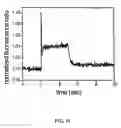 Fig. 23 - Ion channel assay methods