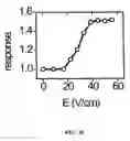 Fig. 35 - Ion channel assay methods