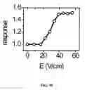 Fig. 35 - Ion channel assay methods