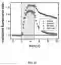 Fig. 19 - Ion channel assay methods