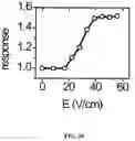 Fig. 35 - Ion channel assay methods