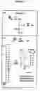 Fig. 07 - Switchable nucleic acids for diagnostics, screening and molecular electronics