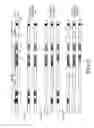Fig. 03 - Virus-like particles, methods of preparation, and immunogenic compositions