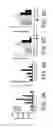 Fig. 06 - Virus-like particles, methods of preparation, and immunogenic compositions