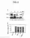 Fig. 09 - Virus-like particles, methods of preparation, and immunogenic compositions