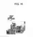 Fig. 17 - Virus-like particles, methods of preparation, and immunogenic compositions