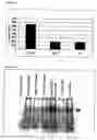 Fig. 04 - Transcription activation complex and utilization thereof