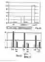 Fig. 06 - Method for lowering both sequence variations and increase of base line effects in a diagnostic hybridisation assay, assay for performing such a method and probe for use in the assay