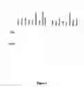 Fig. 03 - Centrosome-associated protein and applications thereof