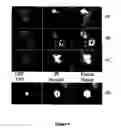 Fig. 05 - Centrosome-associated protein and applications thereof