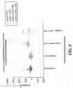 Fig. 09 - Immunologic activity measures for t helper on-associated conditions