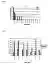 Fig. 04 - High through-put detection of pathogenic yeasts in the genus trichosporon