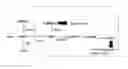 Fig. 01 - Method for optimizing thiopurine efficacy and toxicity using mass spectrometry