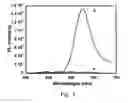 Fig. 04 - Methods and articles for strand-specific polynucleotide detection with cationic multichromophores
